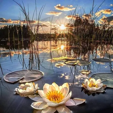 Blue House Kek Haz Ueduelo Dunapataj