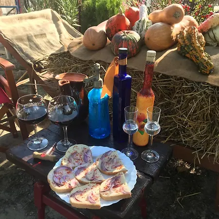Nyaraló Blue House Kek Haz Ueduelo Dunapataj