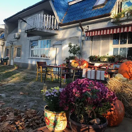 Blue House Kék Ház üdülő Nyaraló Dunapataj