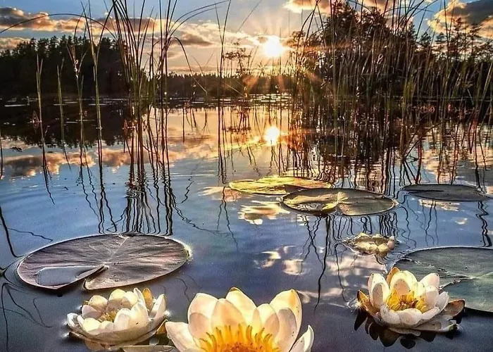 Blue House Kek Haz Ueduelo 杜瑙保陶伊