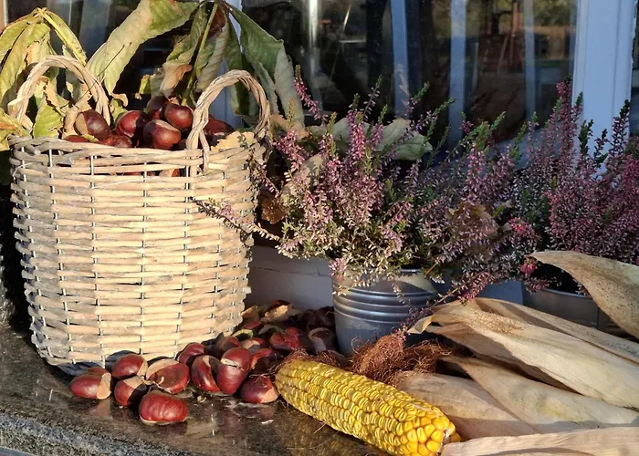 Blue House Kek Haz Ueduelo